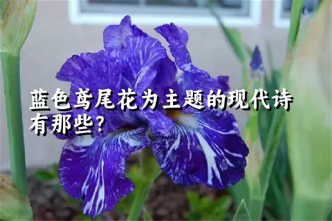 蓝色鸢尾花为主题的现代诗有那些？