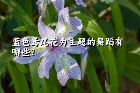 蓝色鸢尾花为主题的舞蹈有哪些？