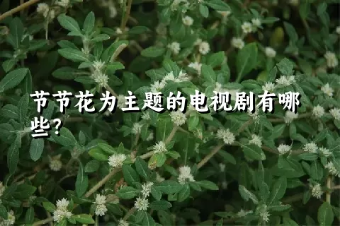 节节花为主题的电视剧有哪些？