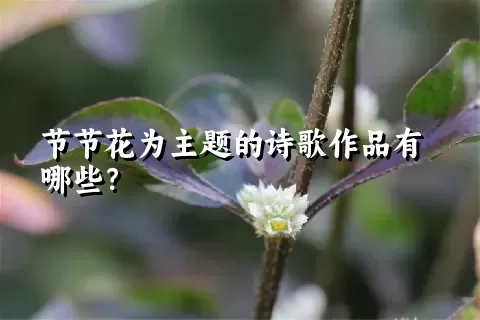 节节花为主题的诗歌作品有哪些？