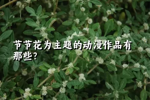 节节花为主题的动漫作品有那些？