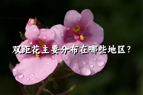 双距花主要分布在哪些地区？