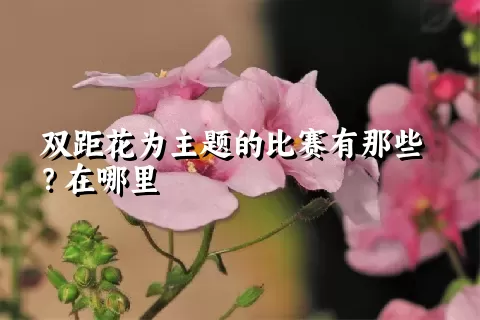 双距花为主题的比赛有那些？在哪里