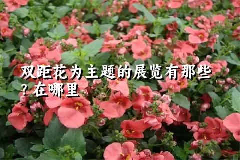 双距花为主题的展览有那些？在哪里