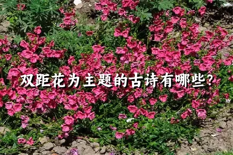 双距花为主题的古诗有哪些？