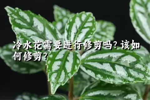 冷水花需要进行修剪吗？该如何修剪？