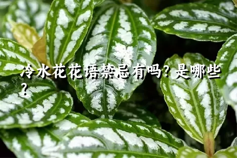 冷水花花语禁忌有吗？是哪些？