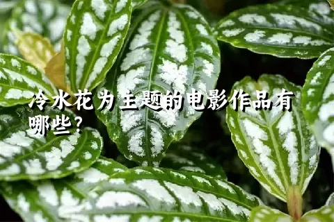 冷水花为主题的电影作品有哪些？