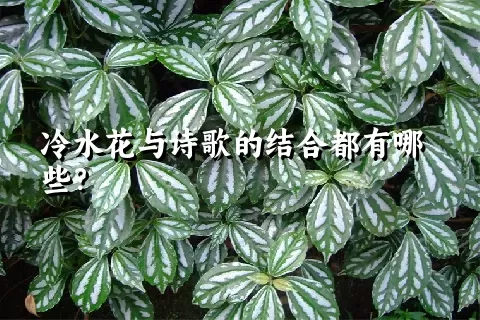 冷水花与诗歌的结合都有哪些？