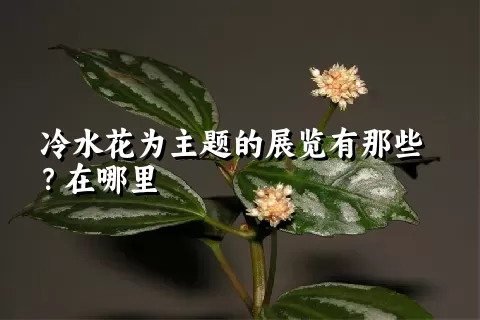 冷水花为主题的展览有那些？在哪里