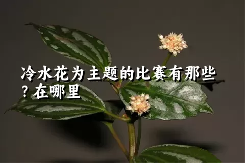 冷水花为主题的比赛有那些？在哪里