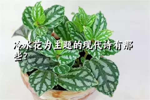 冷水花为主题的现代诗有那些？