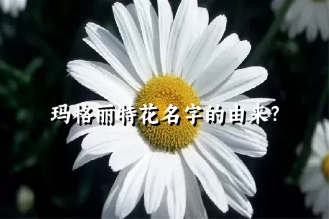 玛格丽特花名字的由来？