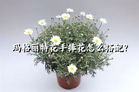 玛格丽特花手捧花怎么搭配？