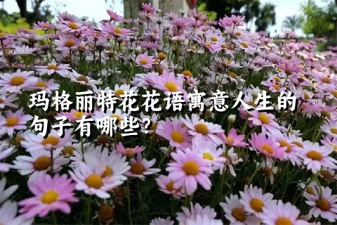 玛格丽特花花语寓意人生的句子有哪些？