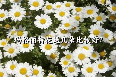 玛格丽特花送几朵比较好？