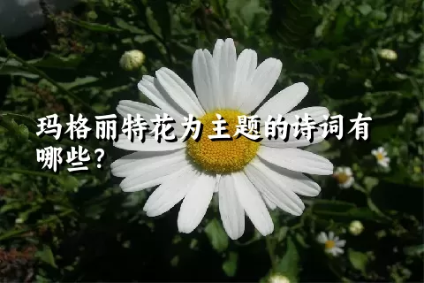 玛格丽特花为主题的诗词有哪些？