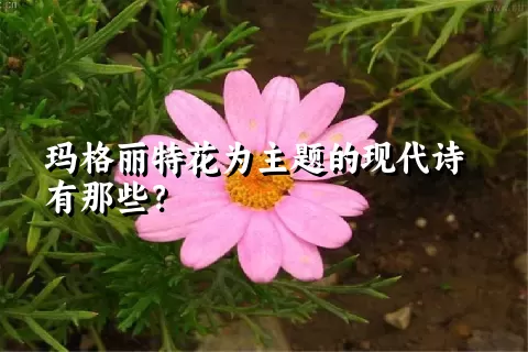 玛格丽特花为主题的现代诗有那些？