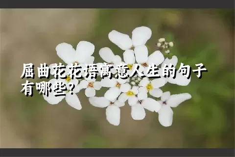 屈曲花花语寓意人生的句子有哪些？