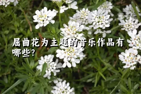 屈曲花为主题的音乐作品有哪些？