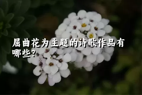 屈曲花为主题的诗歌作品有哪些？