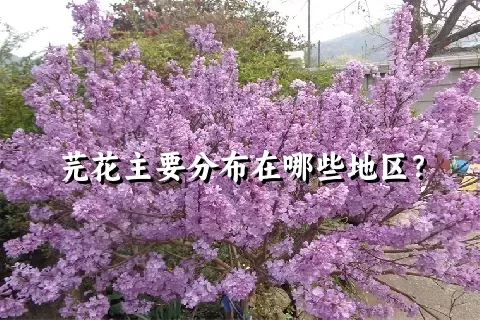 芫花主要分布在哪些地区？