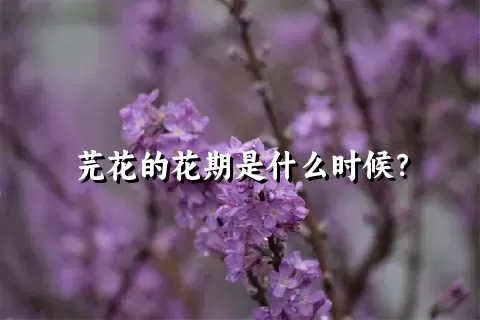 芫花的花期是什么时候？