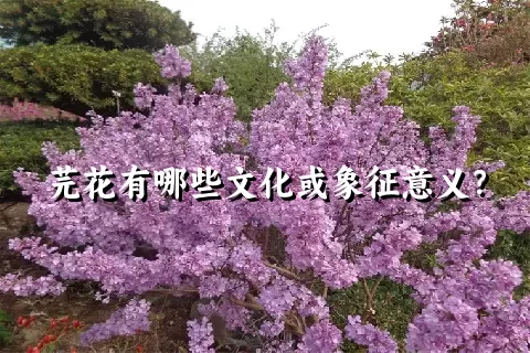 芫花有哪些文化或象征意义？