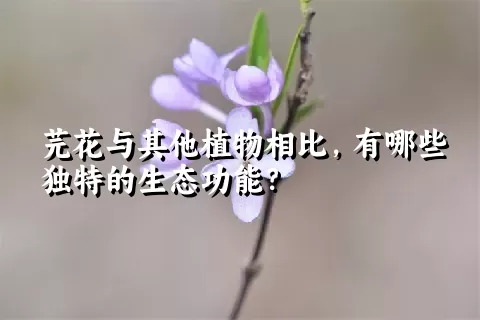 芫花与其他植物相比，有哪些独特的生态功能？