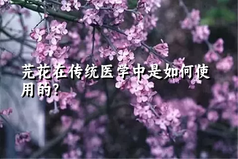 芫花在传统医学中是如何使用的？