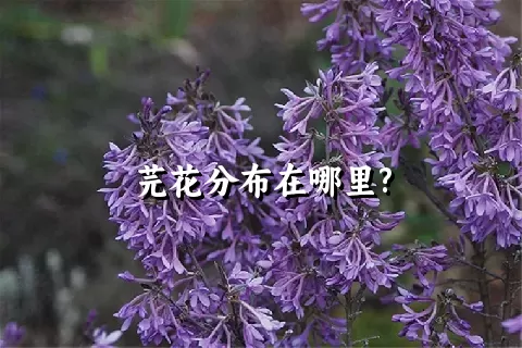 芫花分布在哪里?