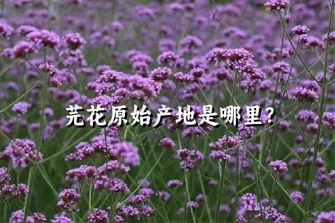 芫花原始产地是哪里？