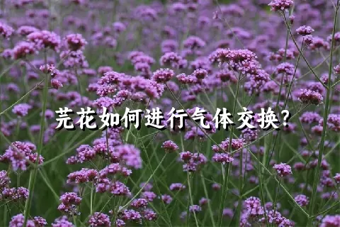 芫花如何进行气体交换？