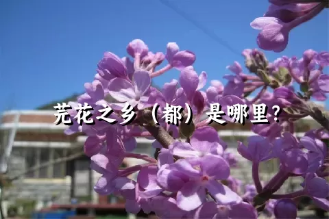 芫花之乡（都）是哪里？