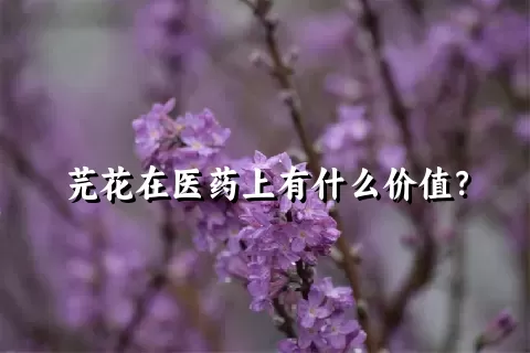 芫花在医药上有什么价值？