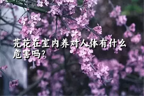 芫花在室内养对人体有什么危害吗？