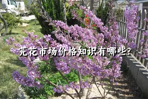 芫花市场价格知识有哪些？