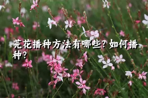 芫花播种方法有哪些？如何播种？