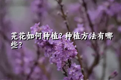 芫花如何种植？种植方法有哪些？