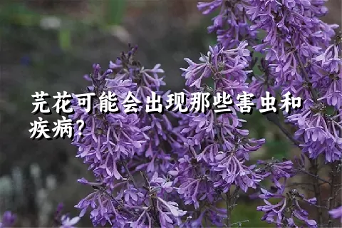 芫花可能会出现那些害虫和疾病？