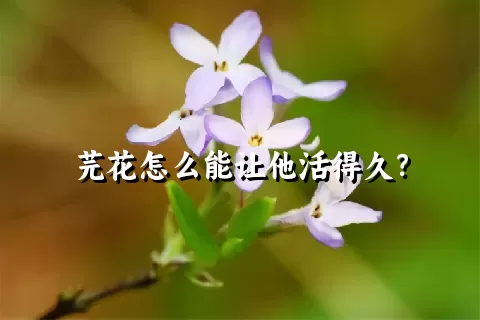 芫花怎么能让他活得久？