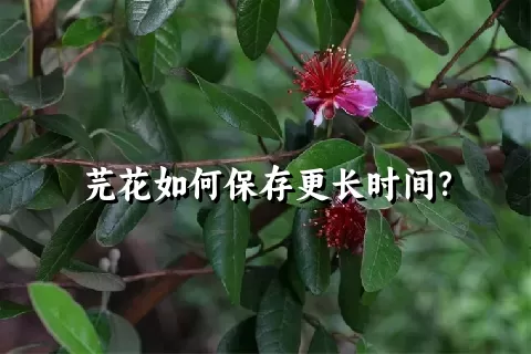 芫花如何保存更长时间？