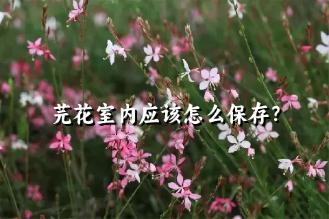 芫花室内应该怎么保存？