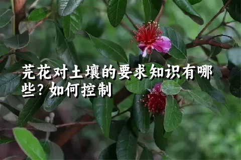 芫花对土壤的要求知识有哪些？如何控制