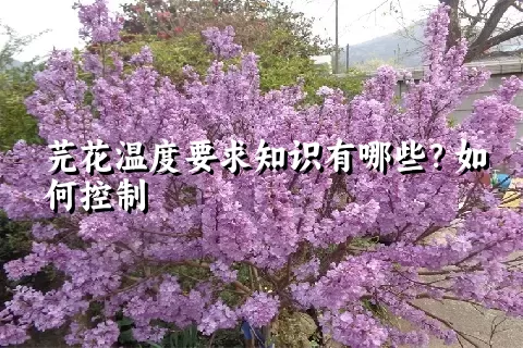 芫花温度要求知识有哪些？如何控制