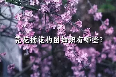 芫花插花构图知识有哪些？