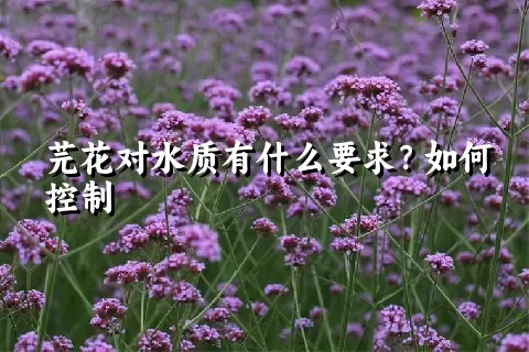 芫花对水质有什么要求？如何控制