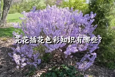 芫花插花色彩知识有哪些？