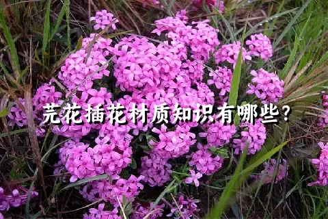 芫花插花材质知识有哪些？