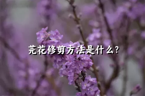 芫花修剪方法是什么？